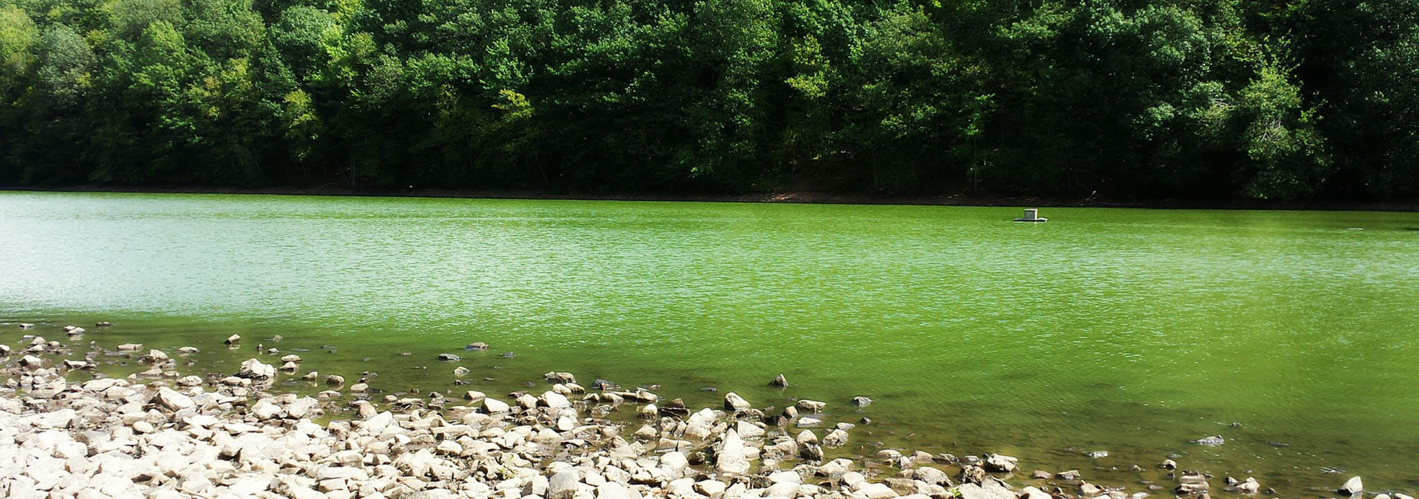 Calvin Funeral Home Hartford MI funeral home and cremation