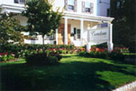 site image
