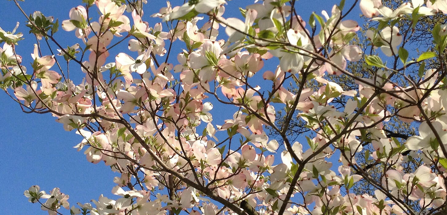 Community Chapel Funeral Home of Jesup Jesup GA funeral home and