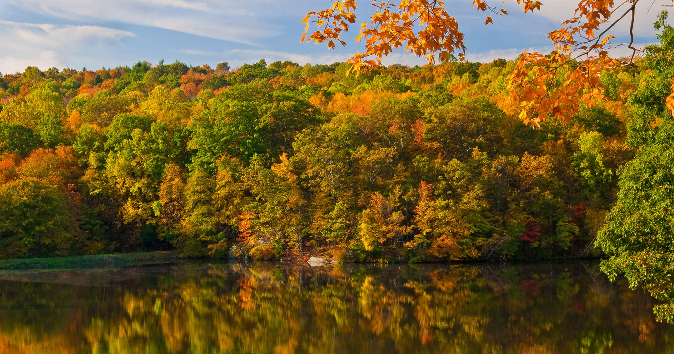 Carpino Funeral Home Southbury CT funeral home and cremation