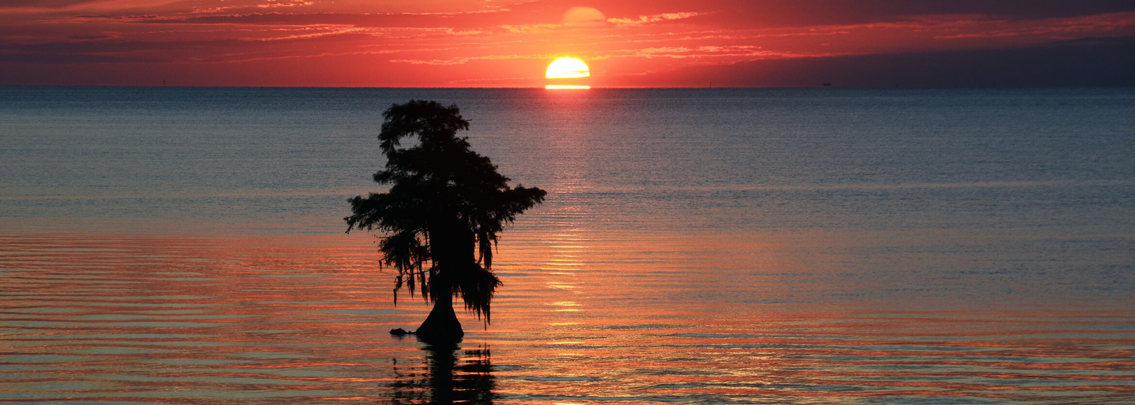 Carolina Cremation Center Winston Salem NC funeral home and cremation