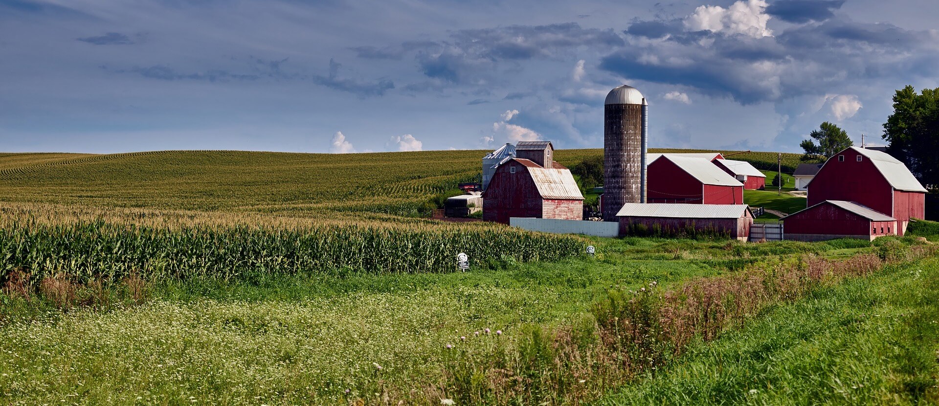 Dawson Funeral Services LLC Maquoketa IA funeral home and cremation