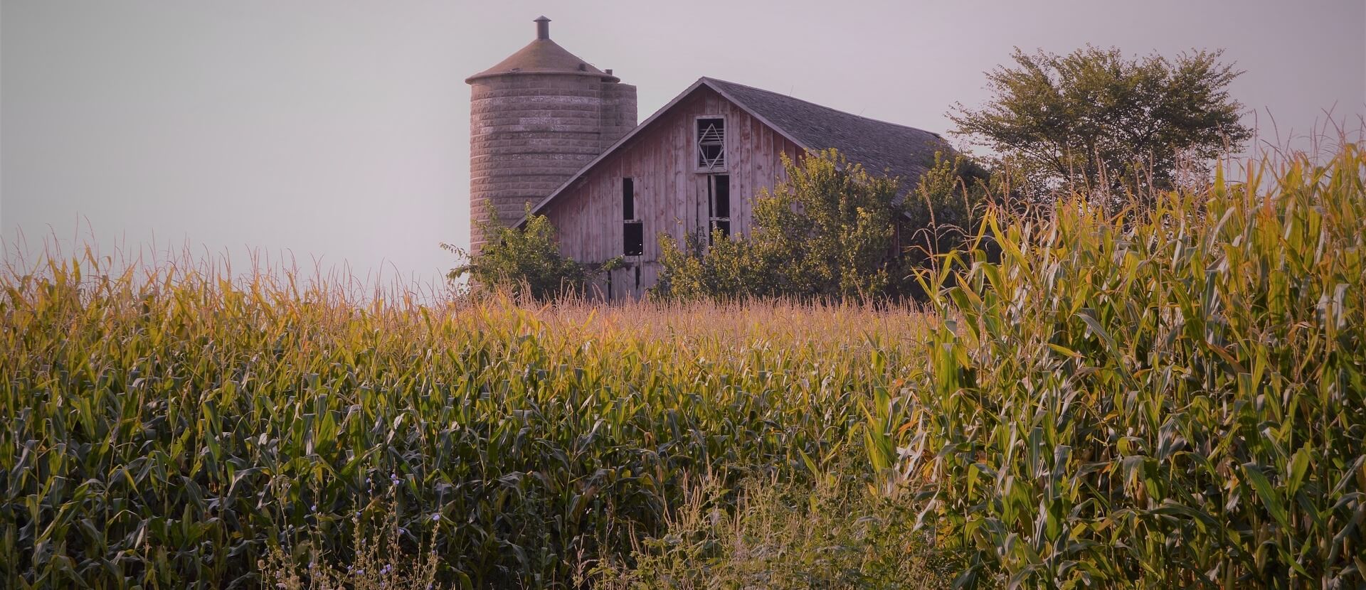 Dawson Funeral Services LLC Maquoketa IA funeral home and cremation