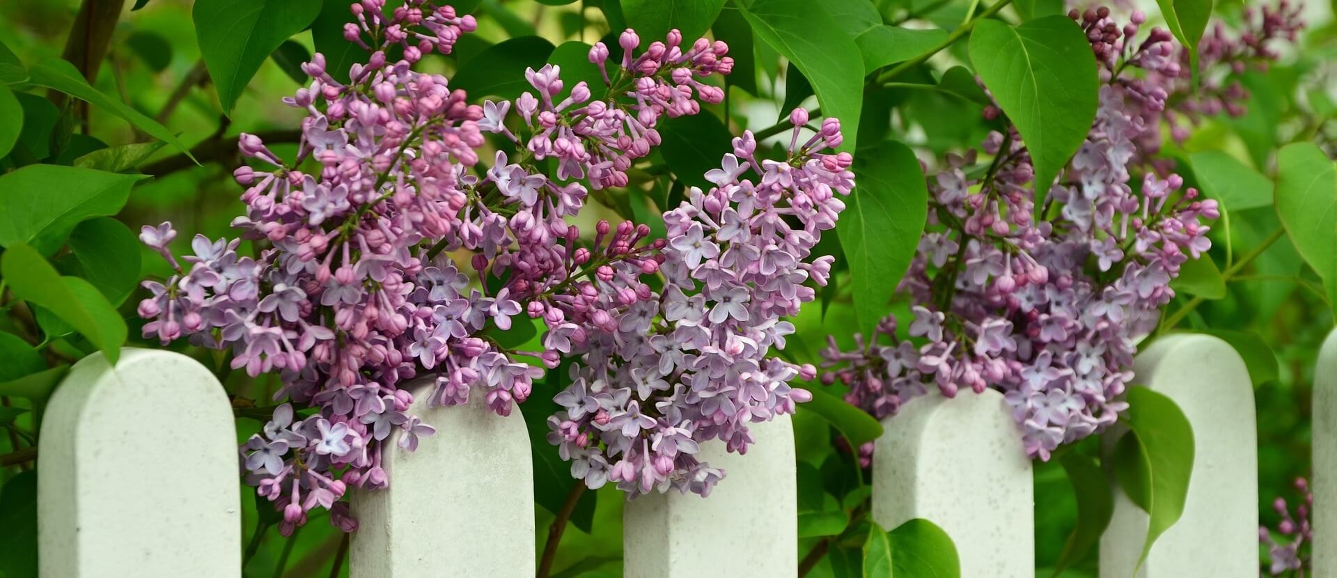 Dawson Funeral Services LLC Maquoketa IA funeral home and cremation