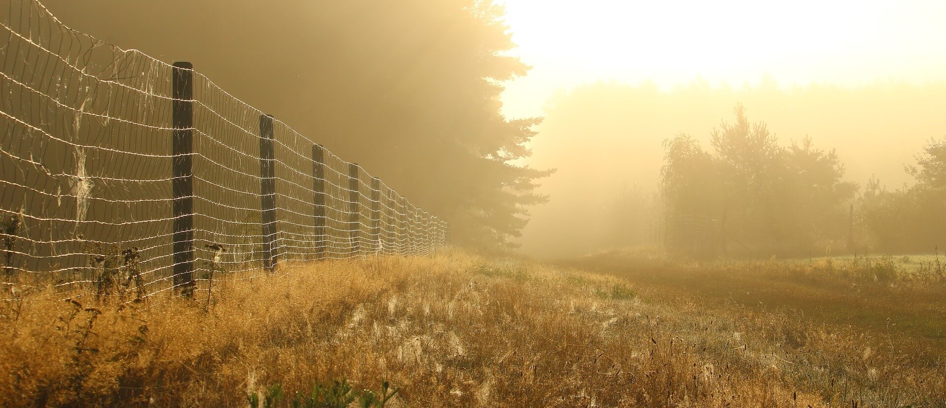 Dawson Funeral Services LLC Maquoketa IA funeral home and cremation