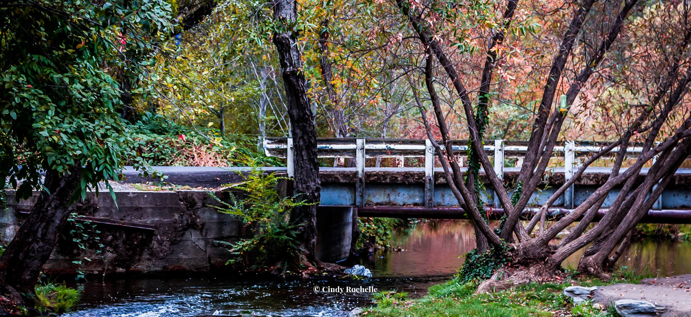 Diebold Funeral Holdings Angels Camp CA funeral home and cremation