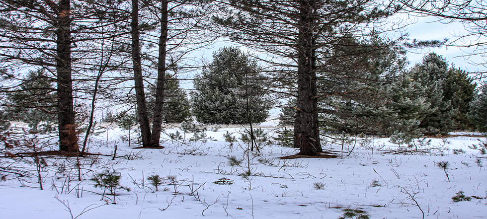 Dougherty Funeral Home Duluth | Duluth MN funeral home and cremation