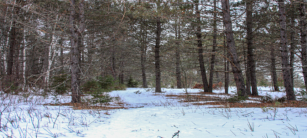 Dougherty Funeral Home Duluth | Duluth MN funeral home and cremation