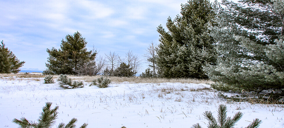 Dougherty Funeral Home Duluth | Duluth MN funeral home and cremation