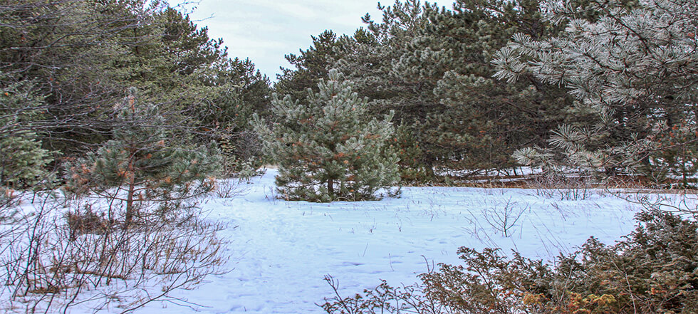 Dougherty Funeral Home Duluth | Duluth MN funeral home and cremation