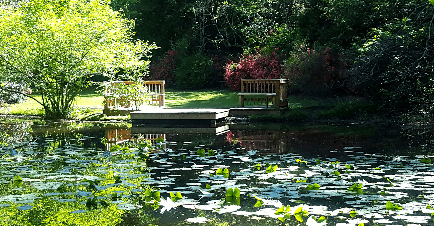 Norton Funeral Home Hartsville SC funeral home and cremation