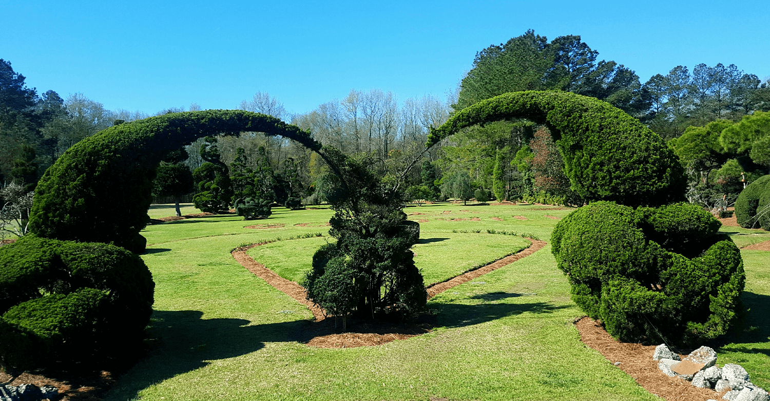 Norton Funeral Home Hartsville SC funeral home and cremation