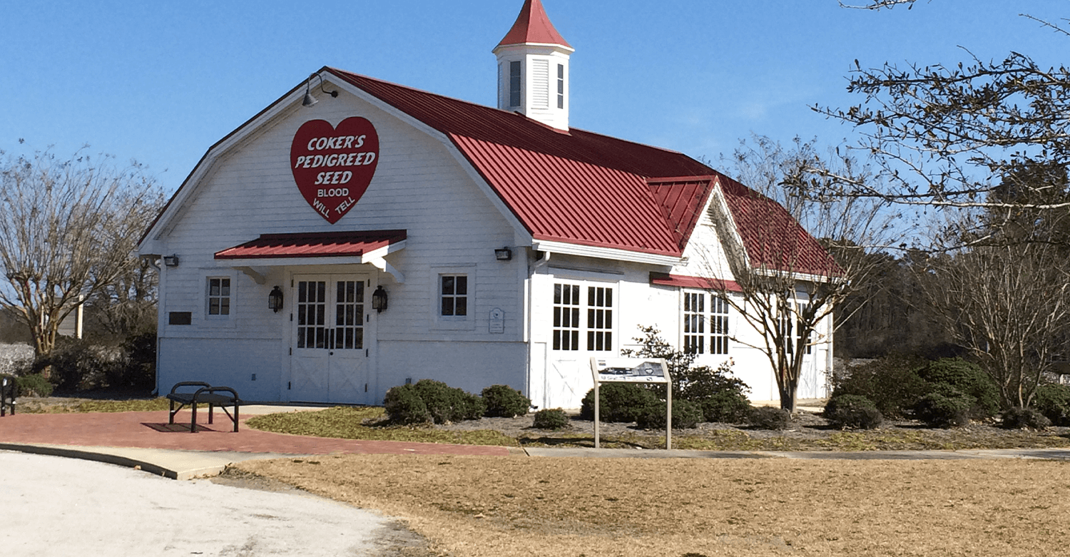 Norton Funeral Home Hartsville SC funeral home and cremation