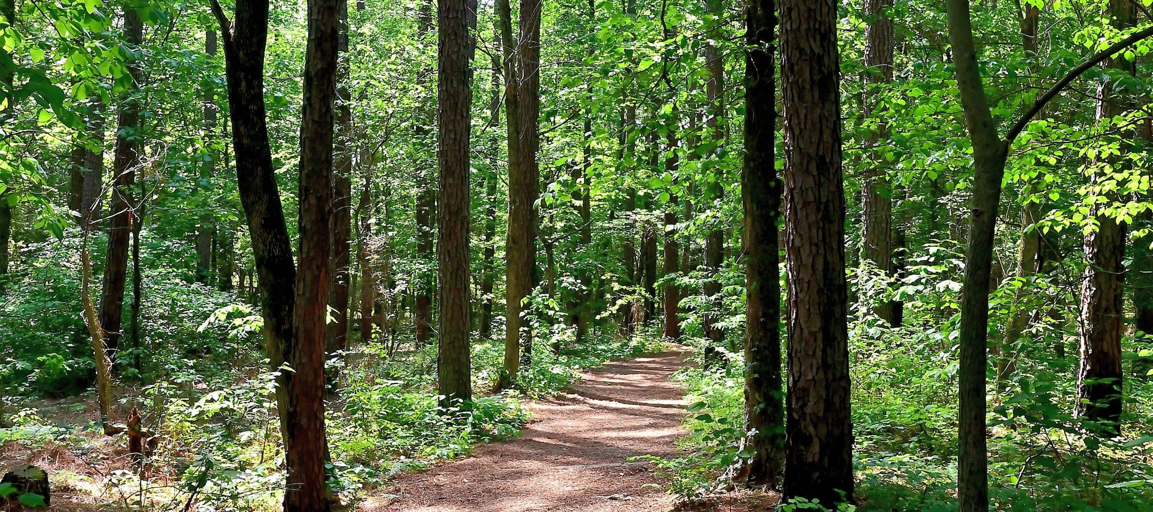 Rendleman & Hileman Funeral Homes Anna IL funeral home and cremation