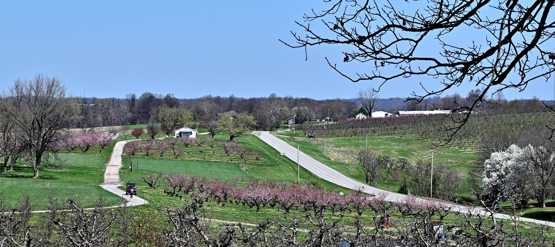 Rendleman & Hileman Funeral Homes Anna IL funeral home and cremation