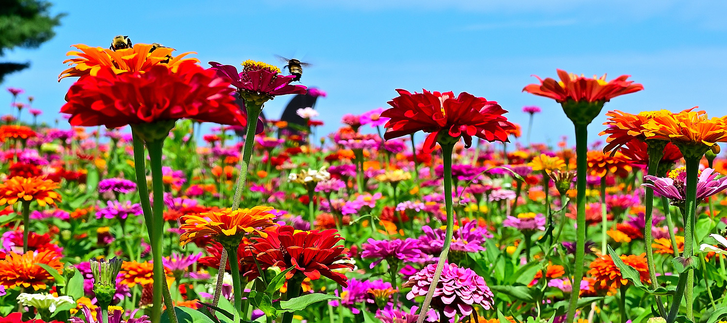 Rendleman & Hileman Funeral Homes Anna IL funeral home and cremation