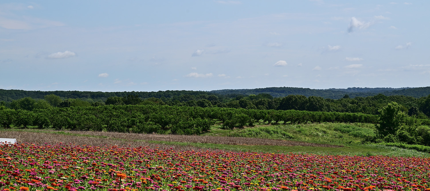 Rendleman & Hileman Funeral Homes Anna IL funeral home and cremation