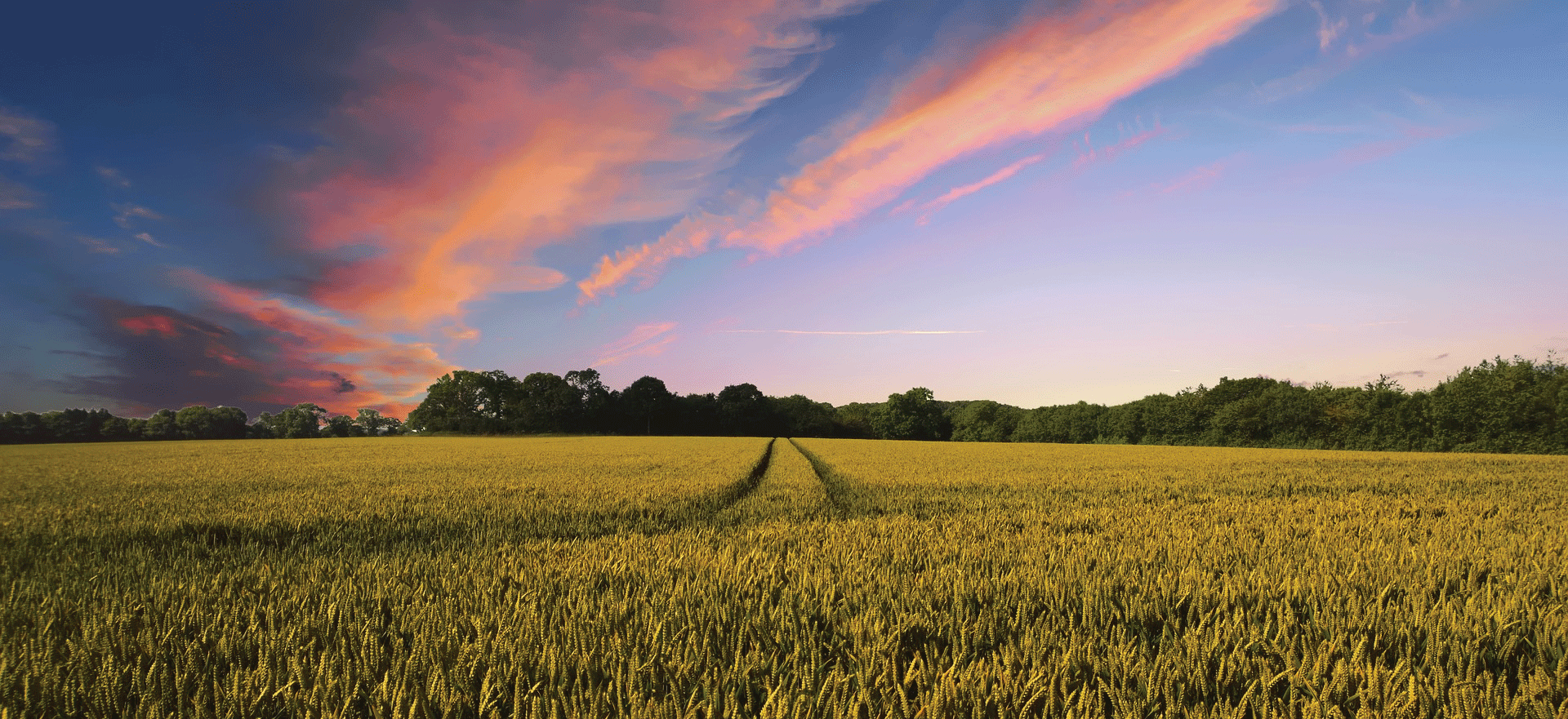 Eberle Fisher Funeral Home & Crematory London OH funeral home and