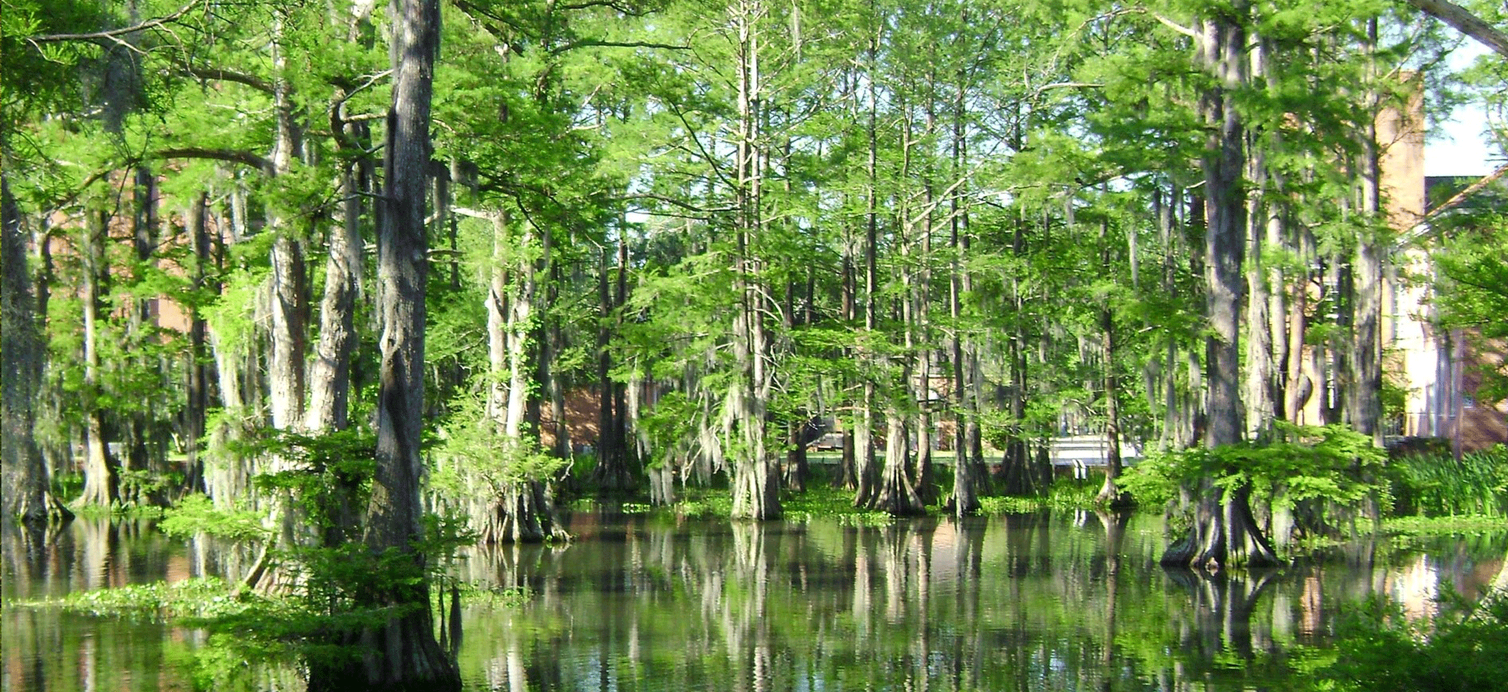 Evins, Larry & Perry Family Funeral Home Jennings LA funeral home and