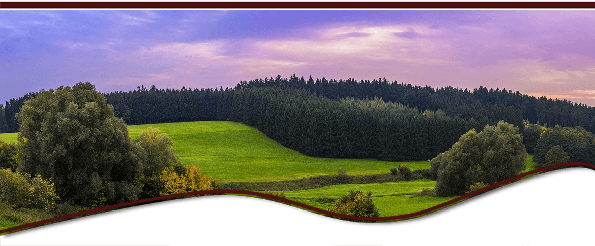 site image
