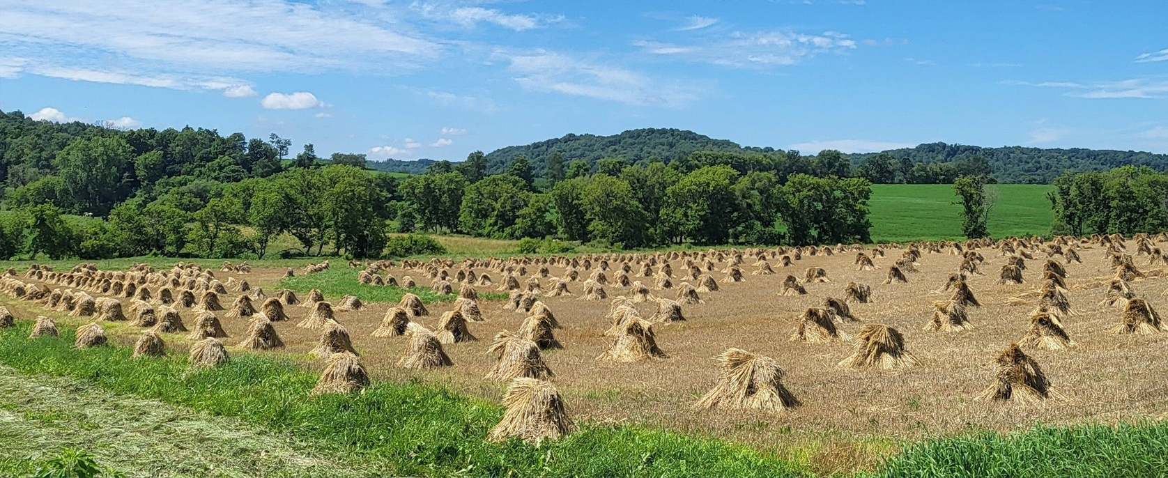 Cazenovia Farber Funeral Home Reedsburg WI funeral home and cremation