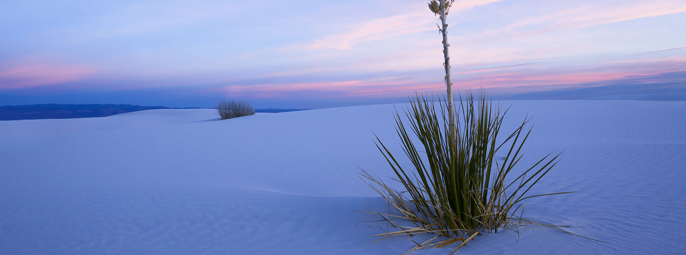 French Funerals and Cremations ALBUQUERQUE, NM and RIO RANCHO, NM