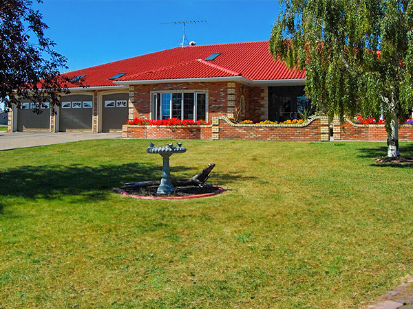 site image
