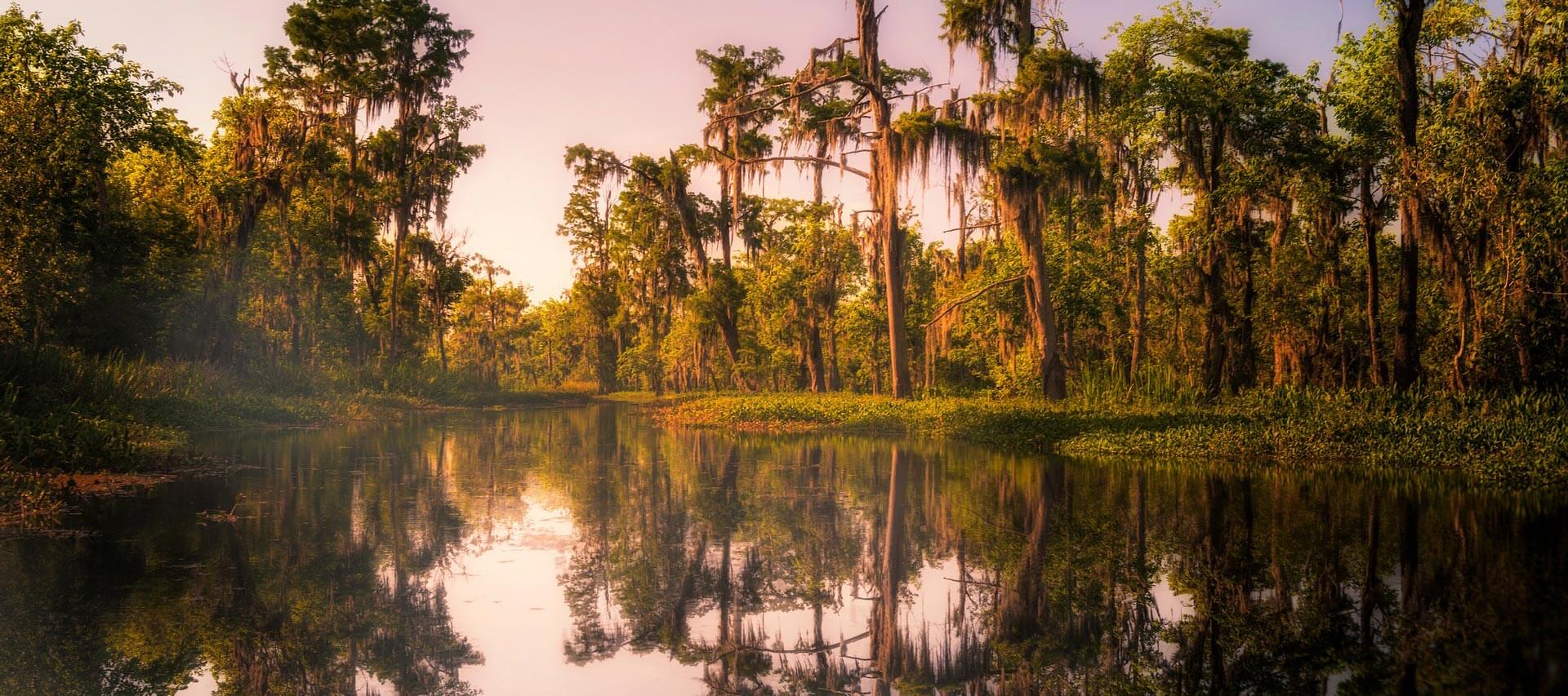 Forest Park Cemetery Shreveport LA funeral home and cremation