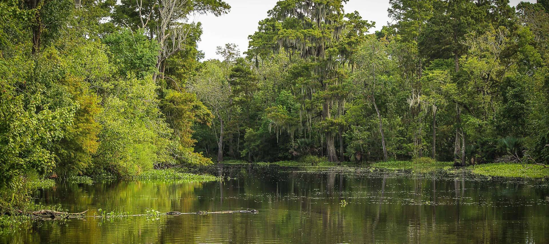 Forest Park Cemetery Shreveport LA funeral home and cremation