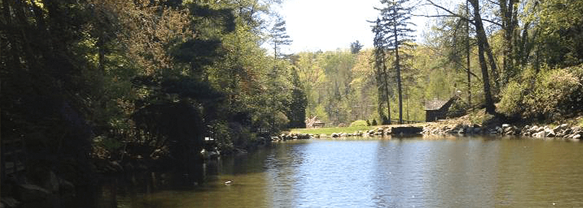 Firtion Adams Funeral Home Westfield Ma Funeral Home And Cremation