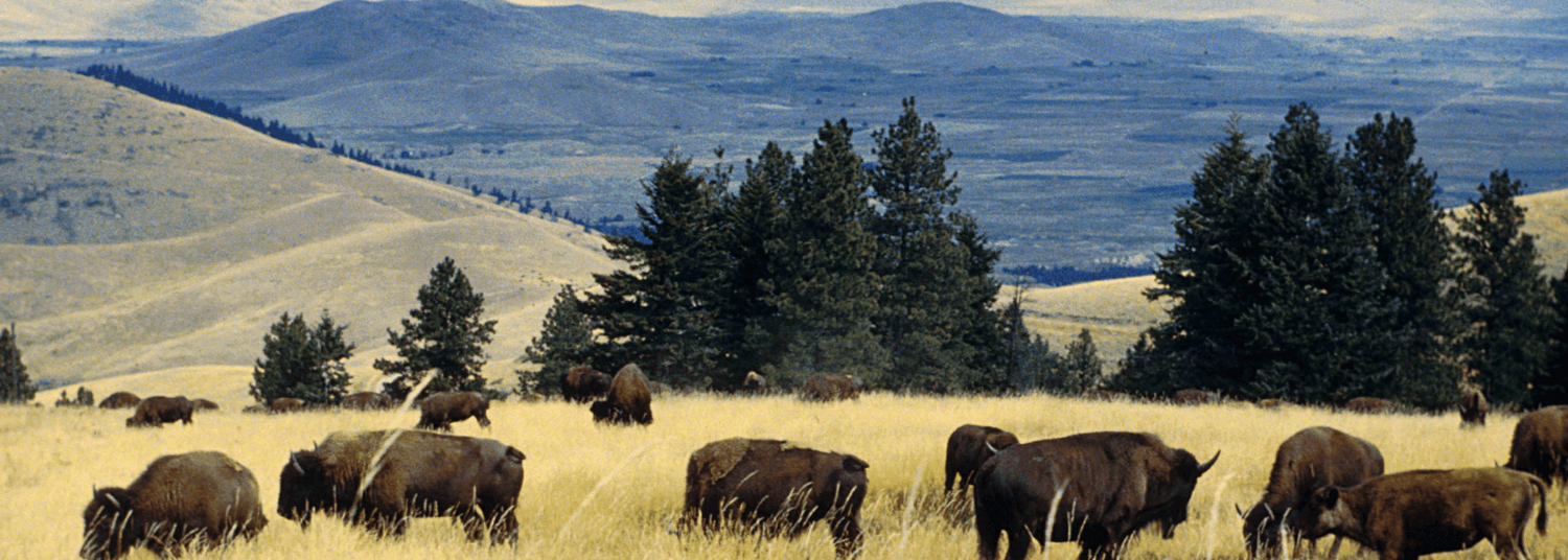 Foster Funeral Home & Crematory & Cremations St Ignatius, MT