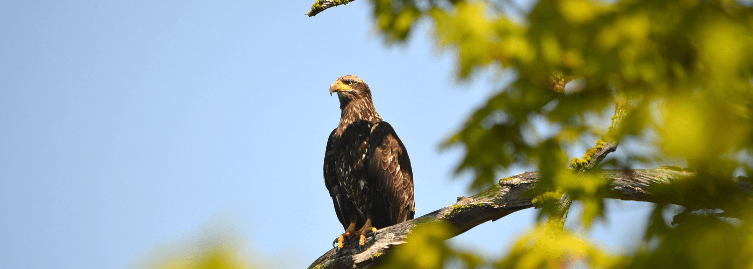 Foster Funeral Home & Crematory & Cremations St Ignatius, MT