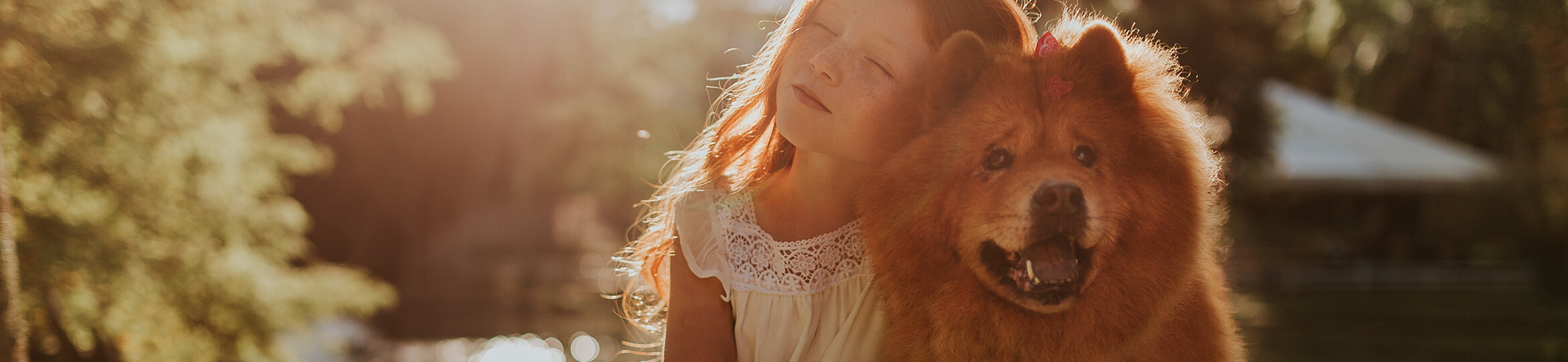 Forever In My Heart Pet Cremation West Granite Falls MN funeral home and cremation