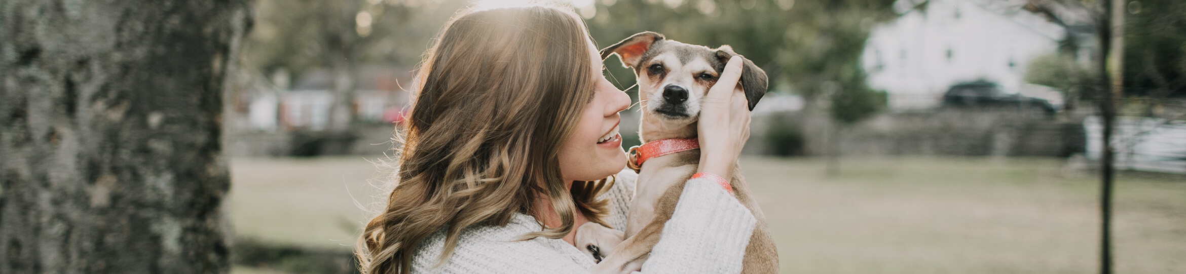 Forever In My Heart Pet Cremation West Granite Falls MN funeral home and cremation