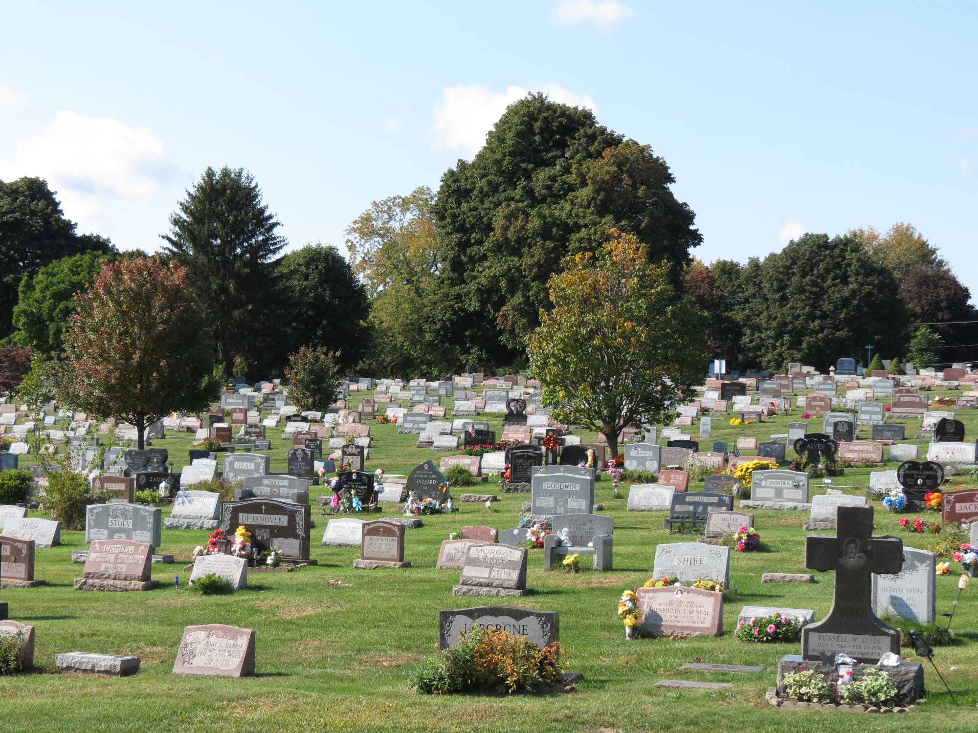 site image