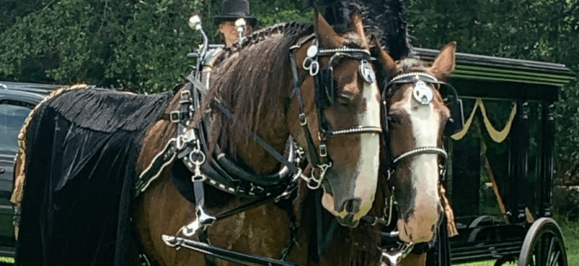 Glover's Funeral Home Orangeburg SC funeral home and cremation