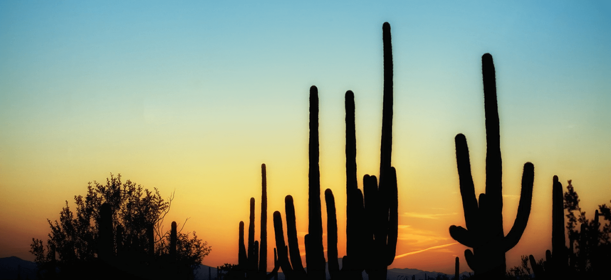 Gamez & Sons Funeral and Cremation Services Funeral Homes in Texas