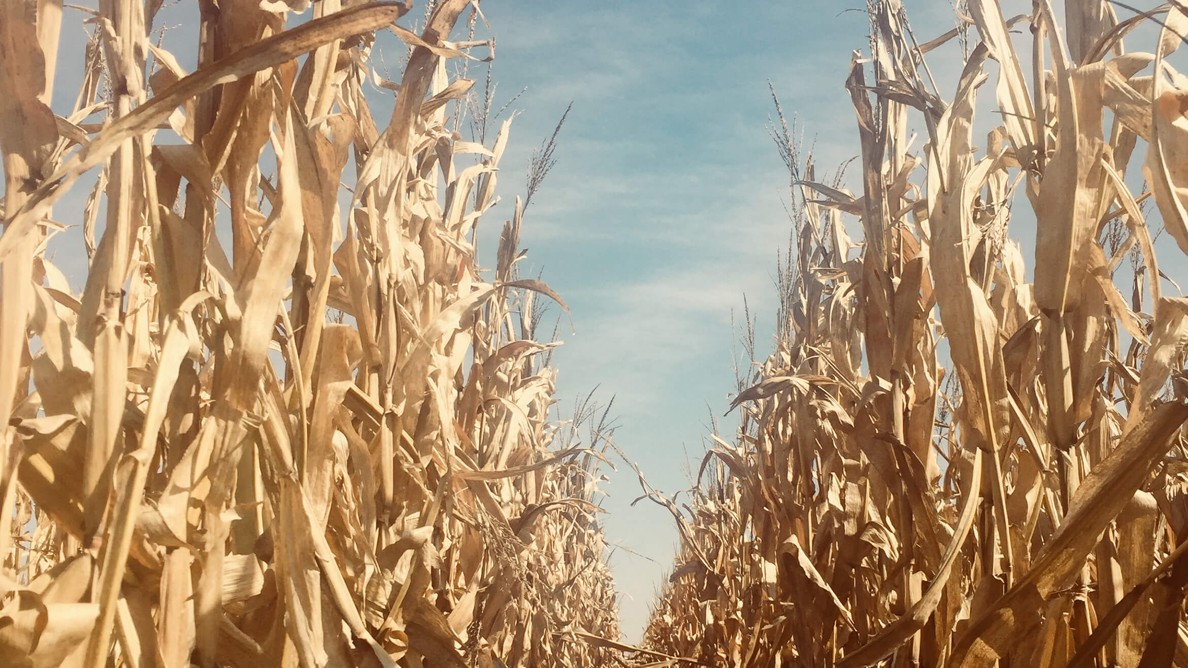 Home for Funerals Norfolk NE funeral home and cremation