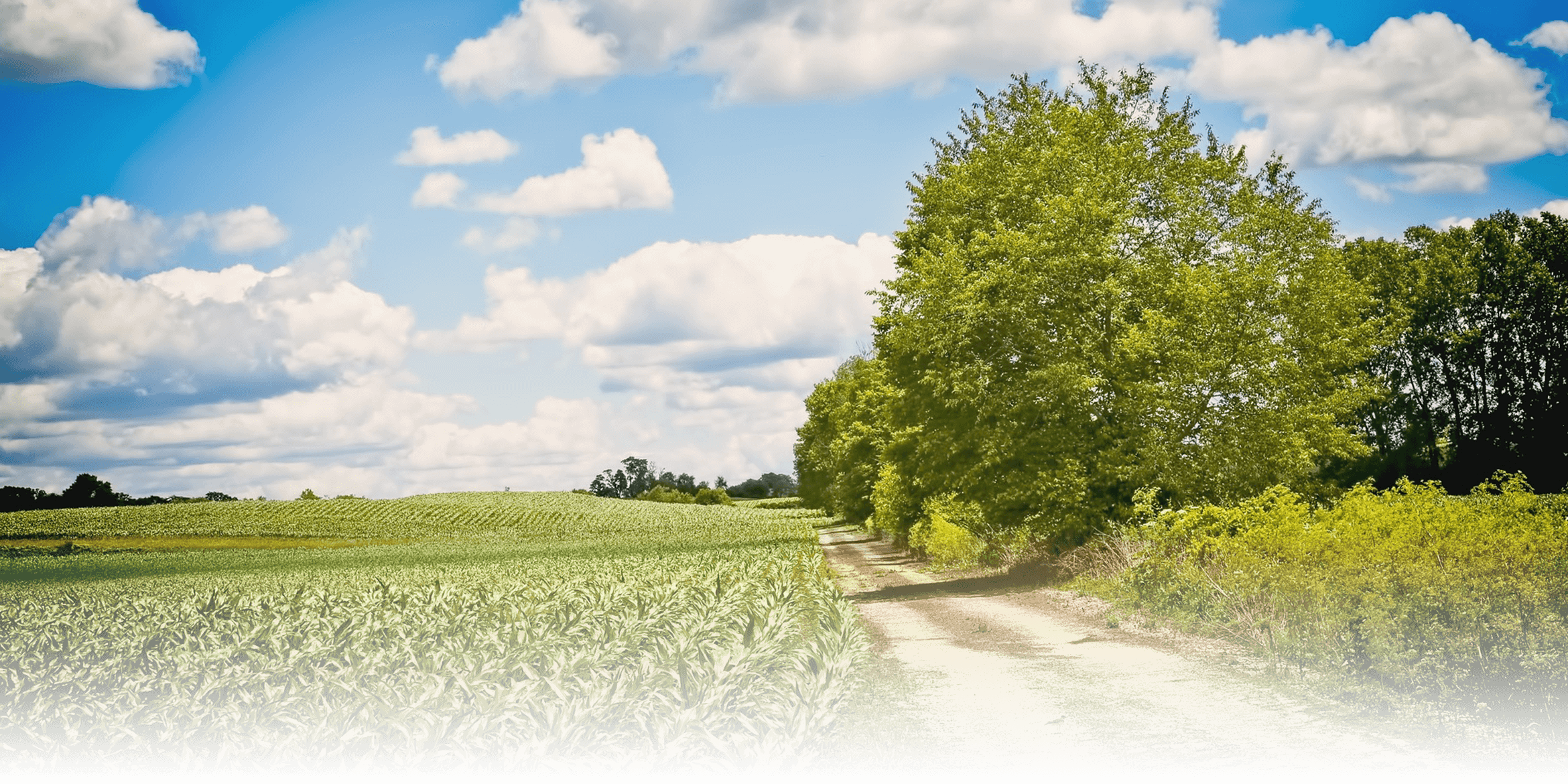 Harper Funeral Home Beallsville OH funeral home and cremation