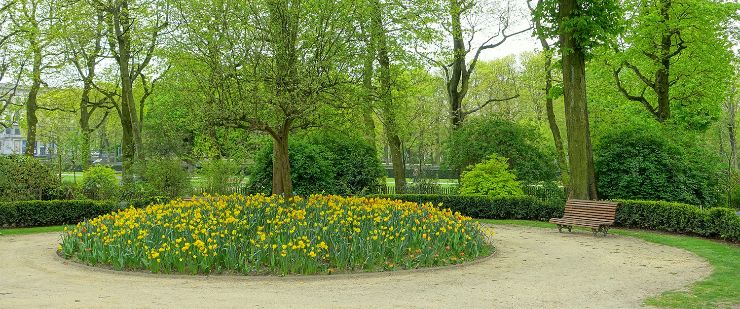 Hampton Funeral Home BARBOURVILLE KY funeral home and cremation