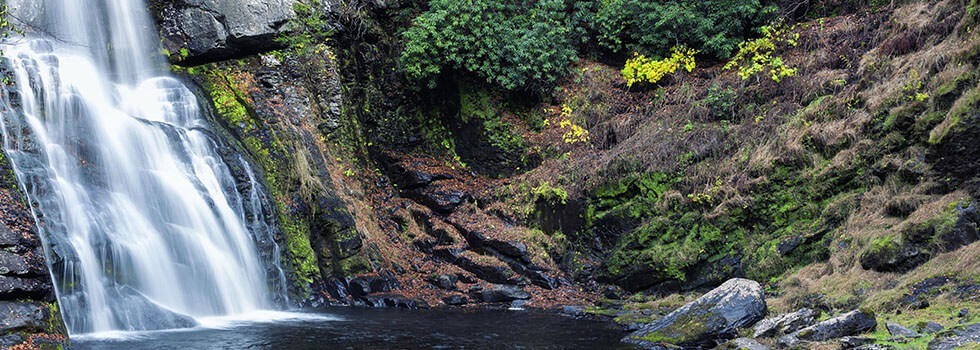 kirsch funeral home altoona pa