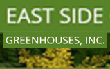 site image