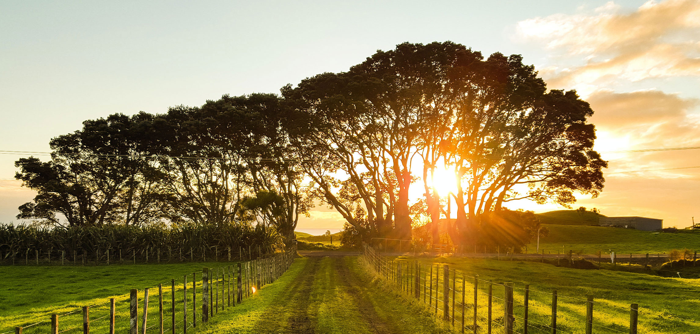 Koch Funeral Home Freeport OH funeral home and cremation