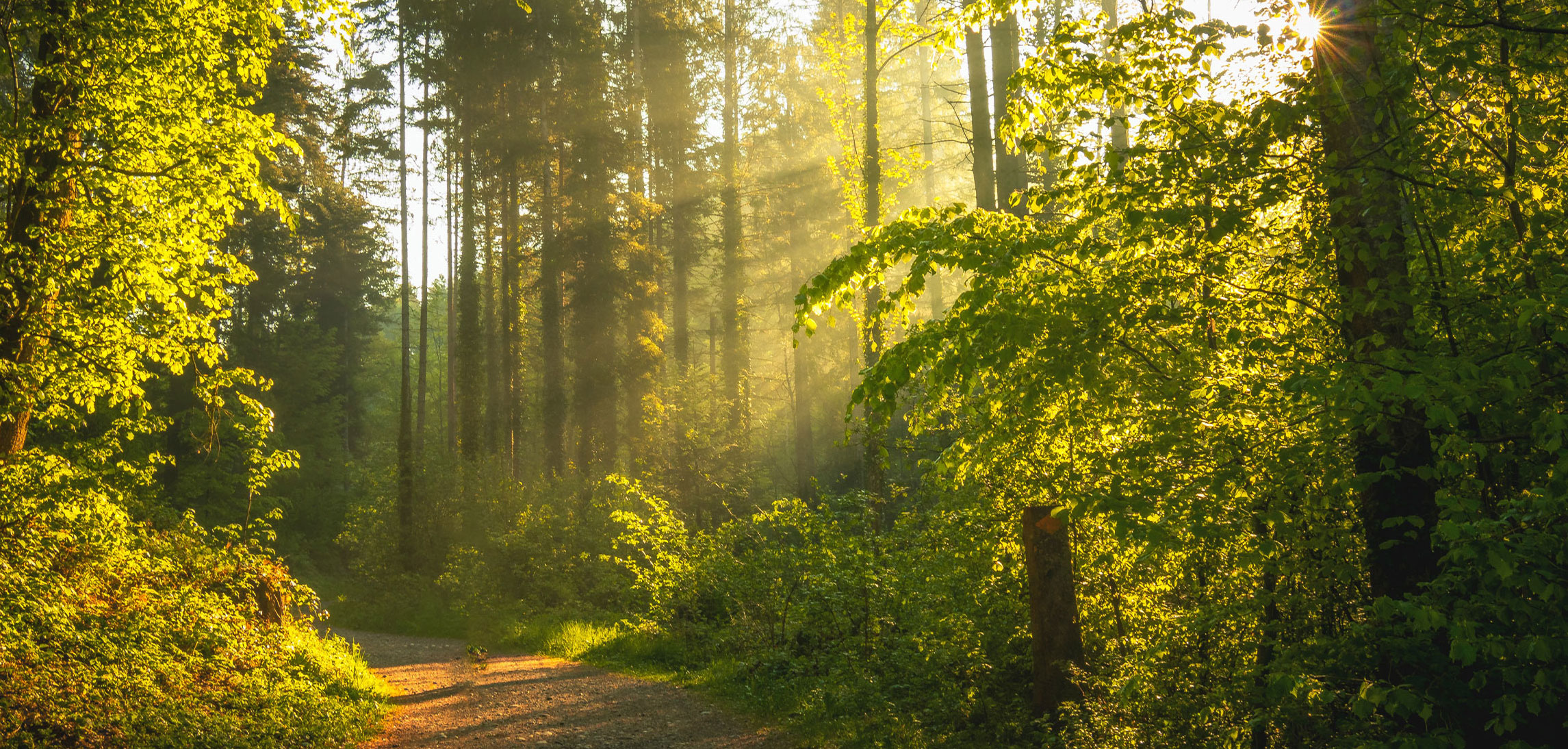 Koch Funeral Home Freeport OH funeral home and cremation