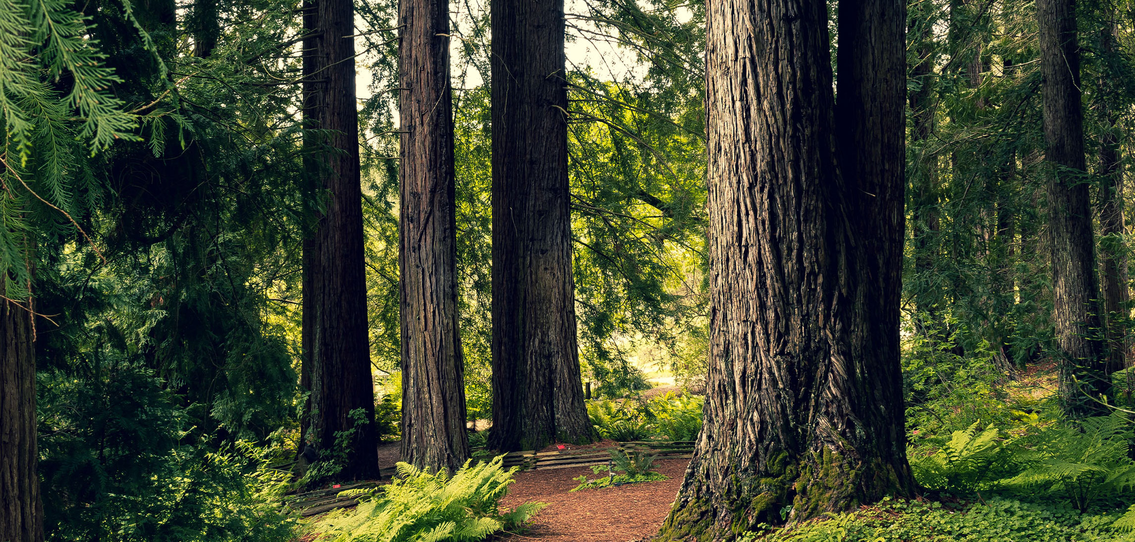 Koch Funeral Home Freeport OH funeral home and cremation