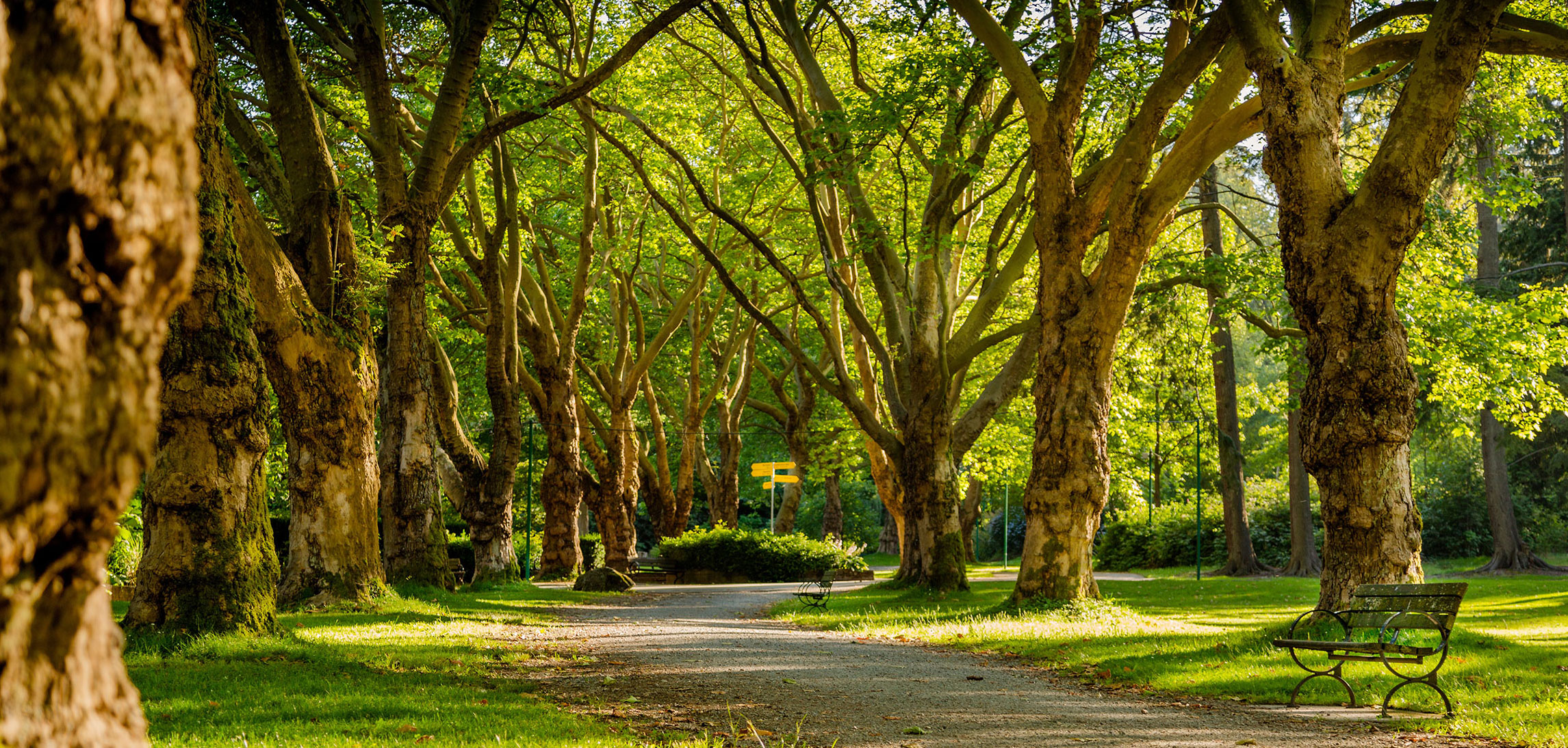 Koch Funeral Home Freeport OH funeral home and cremation