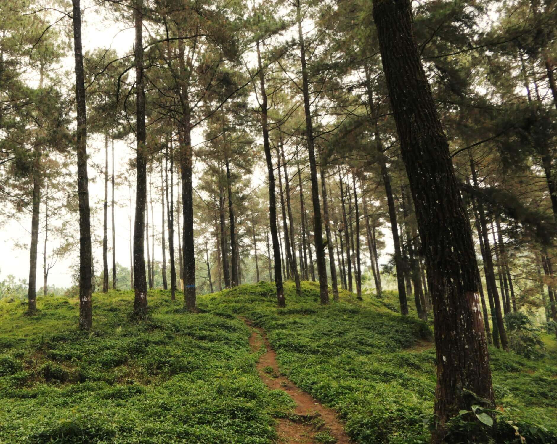 Green Burial StaufferBreznik Funeral Home Ringtown PA funeral home