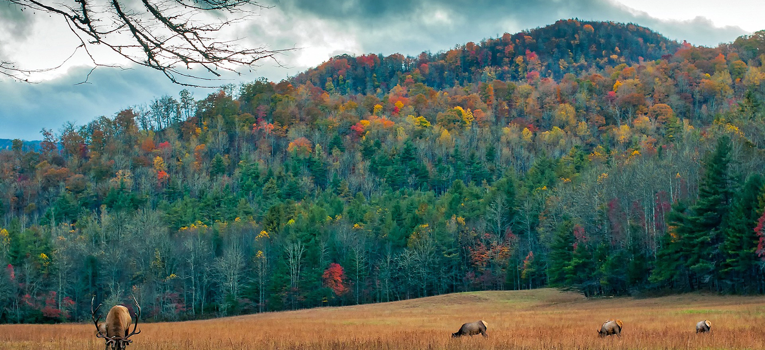 Knotts and Son Funeral Home Siler City NC funeral home and cremation