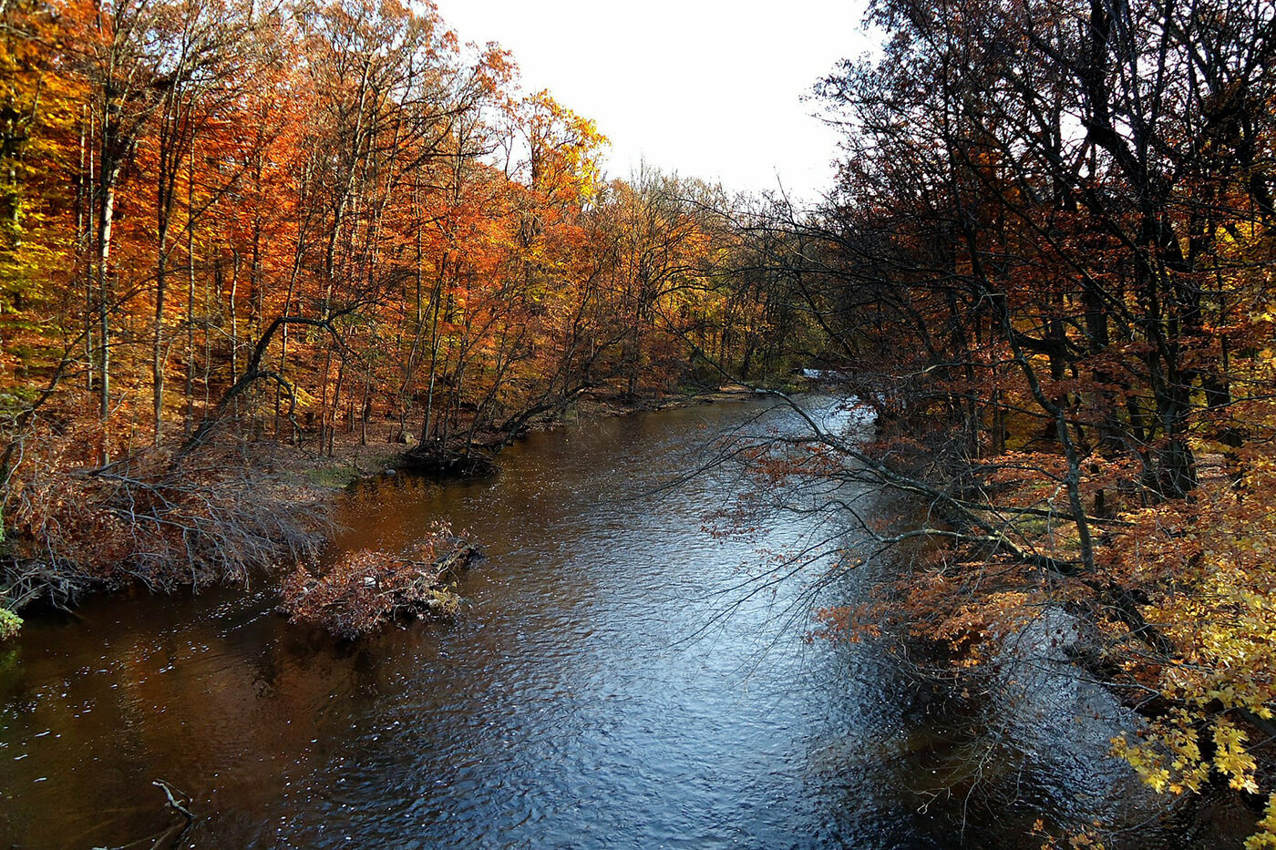 Krowicki Gorny Memorial Home Clark NJ funeral home and cremation