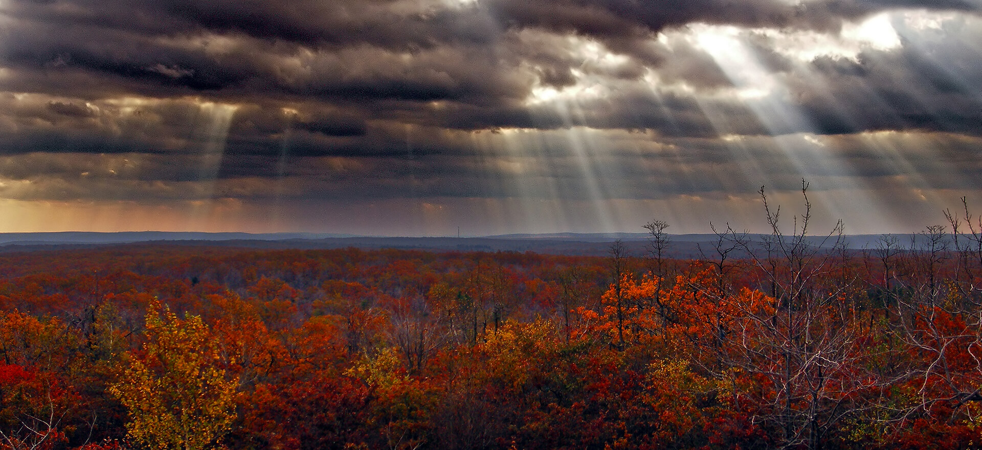 Spencer D. Geibel Funeral Home & Cremation Services | Butler, PA